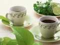竹炭吸油茶有用吗
